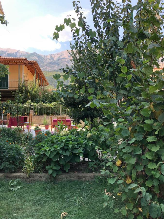 Hotel Villa Ago Përmet Dış mekan fotoğraf